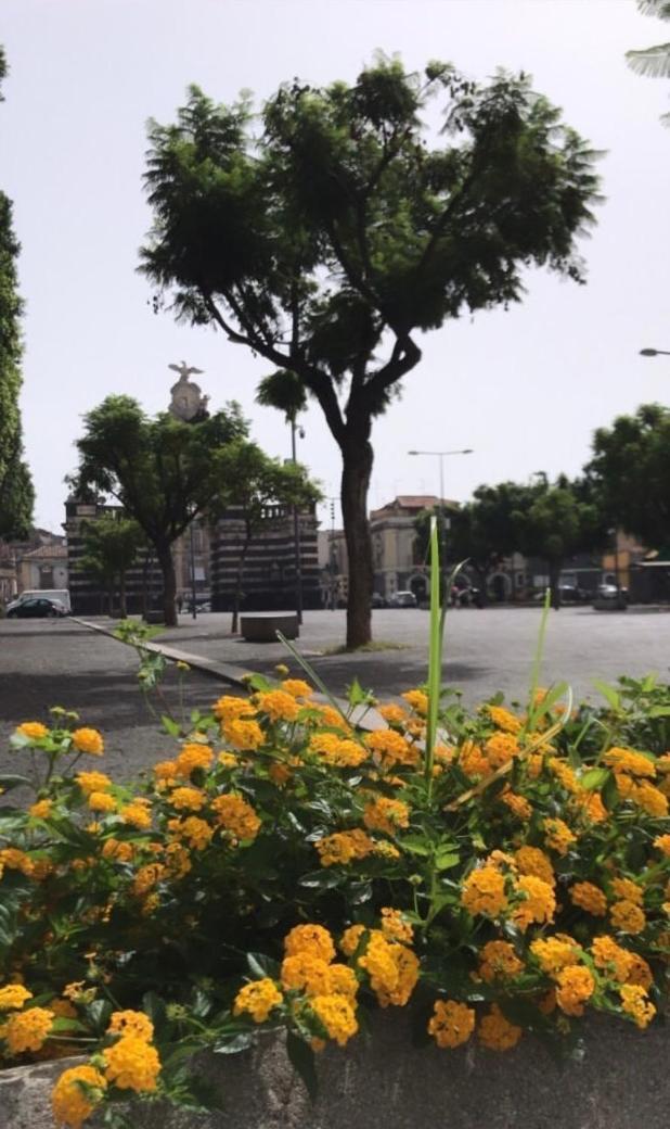 Il Fortino Apartment CTA Exteriér fotografie